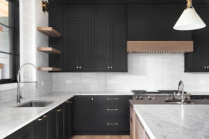 contemporary inspired kitchen